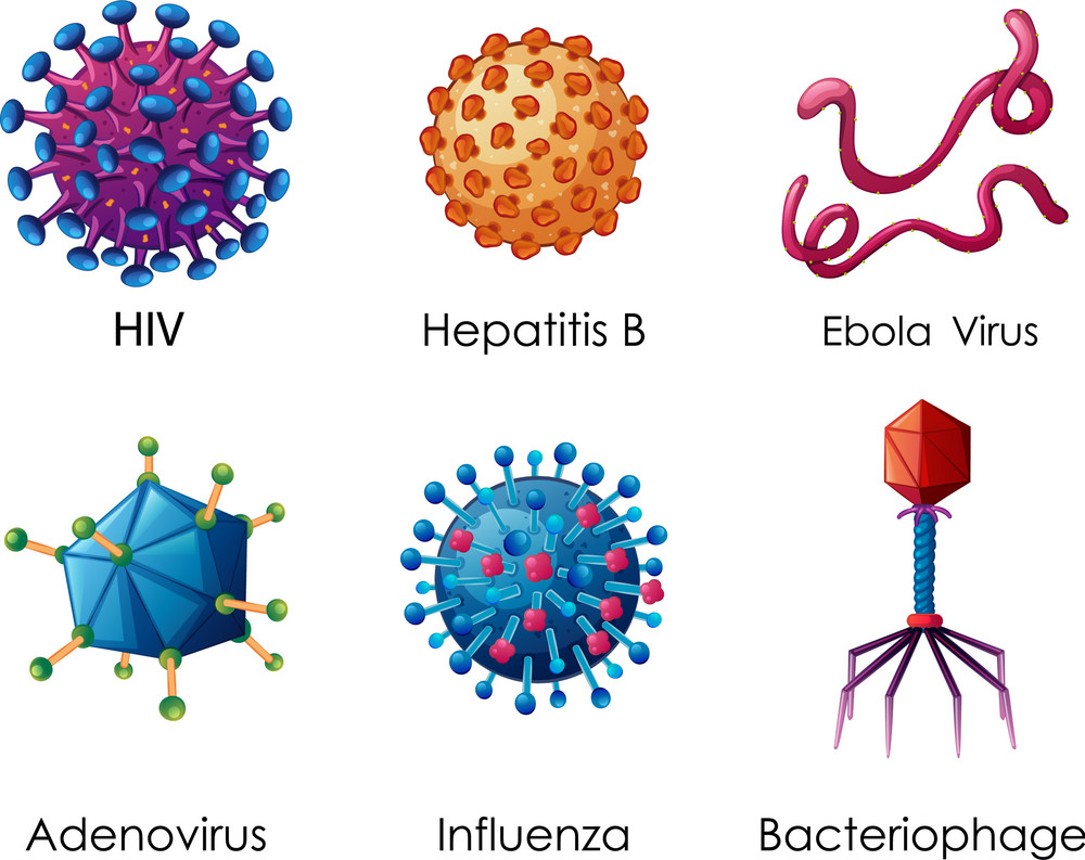 một số loại virus