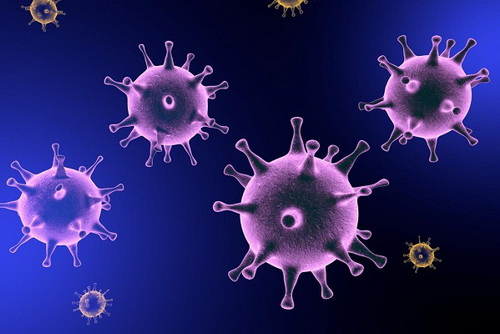 Virus xâm nhập khiến trẻ bị viêm phế quản