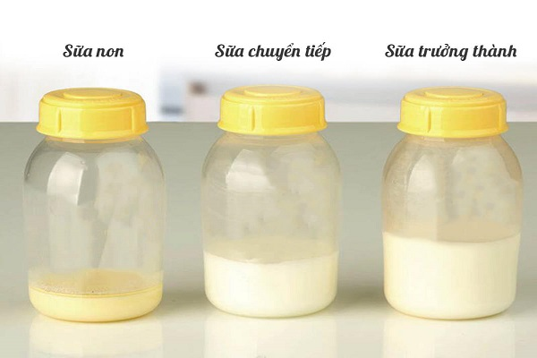 Sữa non đặc biệt tốt giúp trẻ tăng sức đề kháng