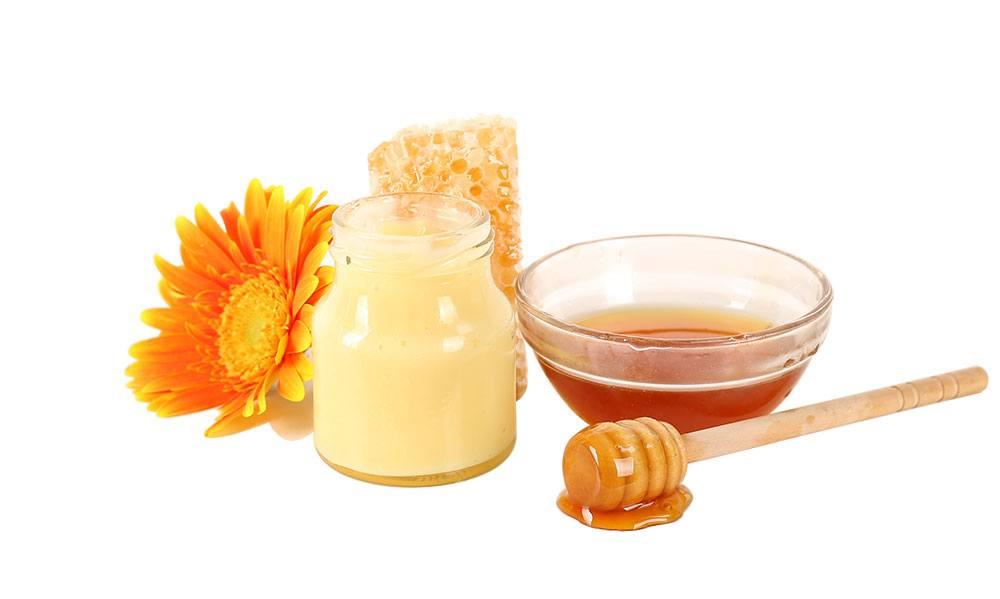 Bổ sung sữa ong chúa kích thích vị giác giúp trẻ ăn ngoan và nhiều hơn